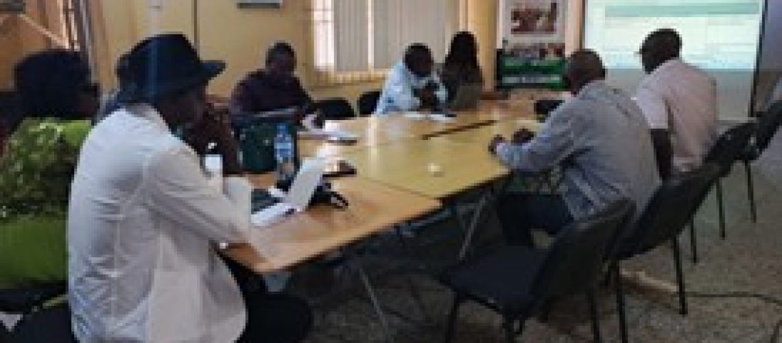 NNF Capacity building